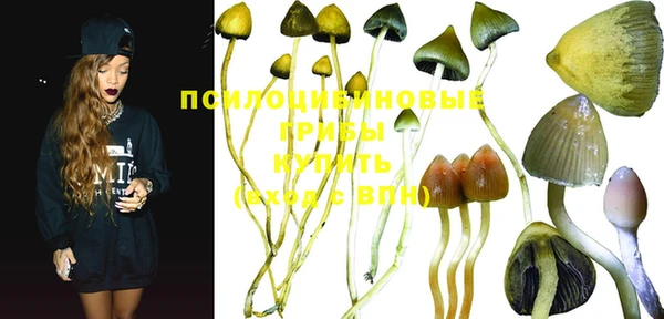 стафф Вязники