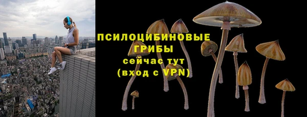 стафф Вязники
