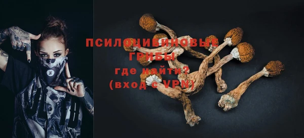 гидра Горнозаводск