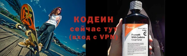 гидра Горнозаводск