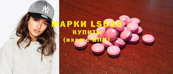 гидра Горнозаводск