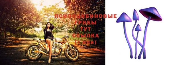 спайс Горно-Алтайск